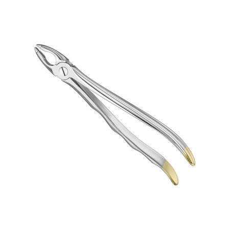 Extracting forceps, anat.